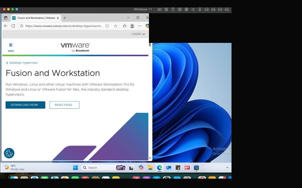 VMware Fusion — Windows 11 desktop running with identifiers redacted
