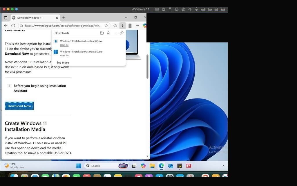 Windows 11 successfully booted with public identifiers redacted