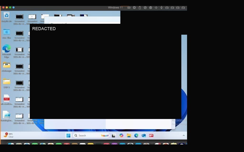 Final verification — adapter showing redacted lab IPv4 address assigned