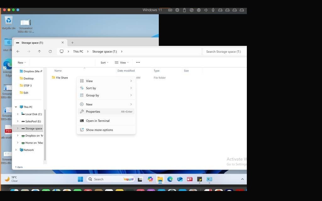 File Share folder created on the mirrored volume